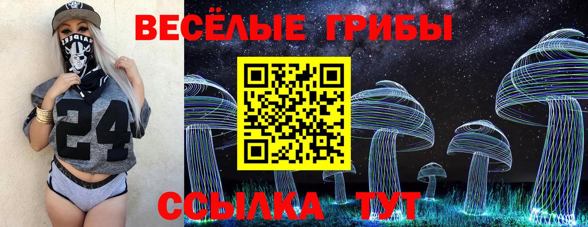 Галлюциногенные грибы прущие грибы  Вход с VPN  Вятские Поляны 
