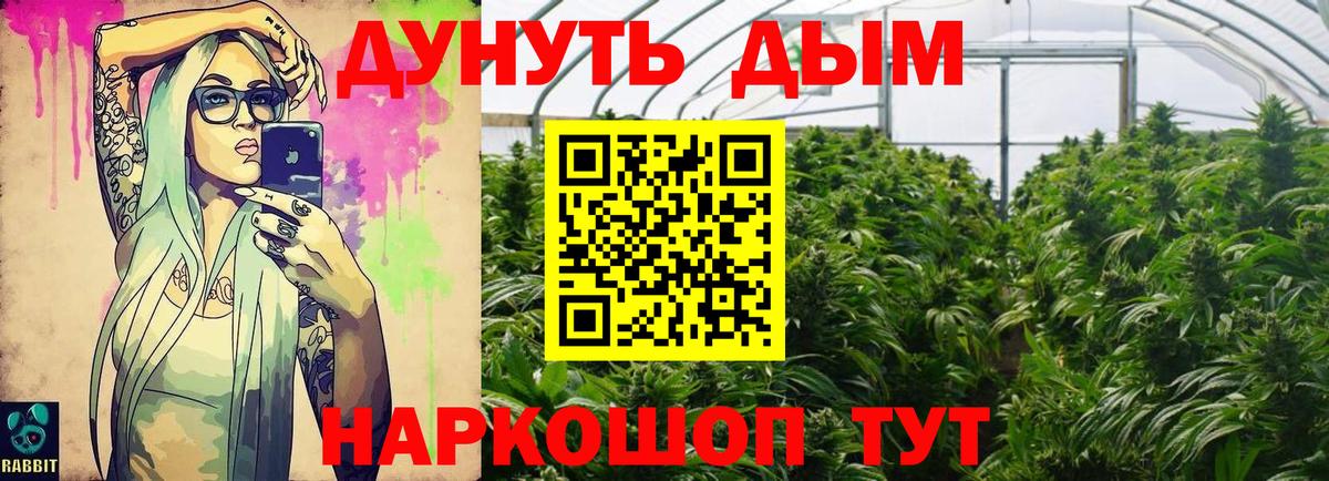Конопля конопля  Бошки Шишки конопля  Вход с VPN  Вятские Поляны  Каннабис Bruce Banner 